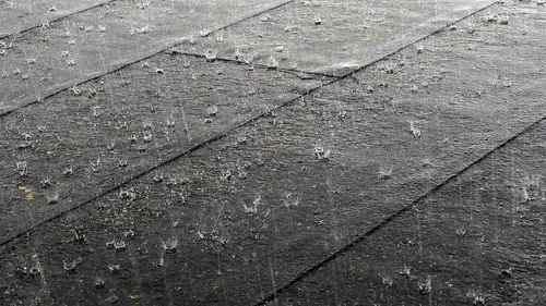 Rain — verified public domain news photograph