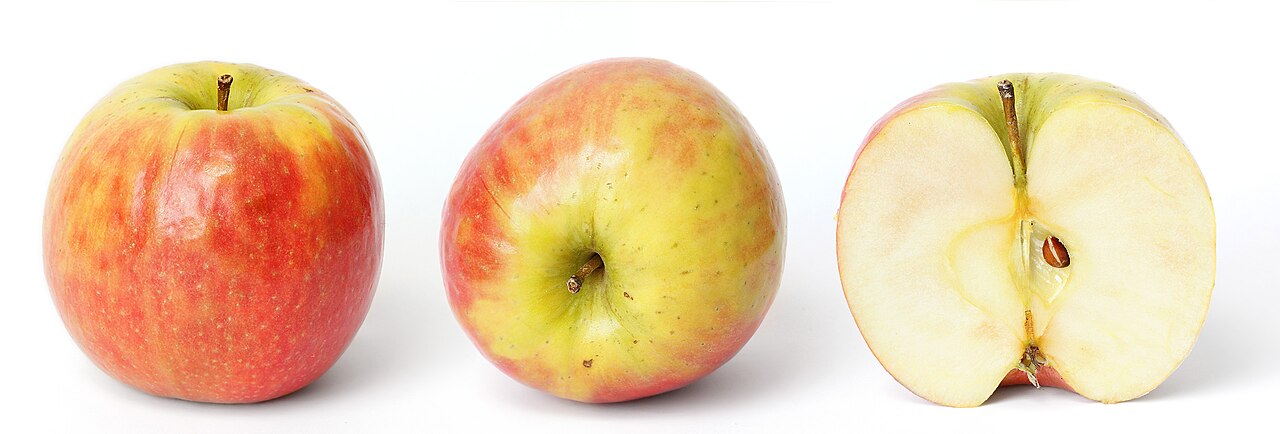 Apple — verified public domain news photograph