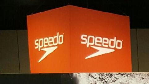 Speedo — verified 16:9 public domain landscape news photograph