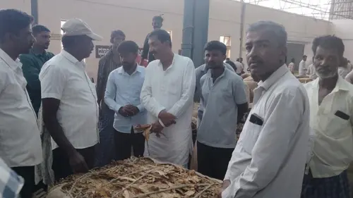 Authentic publisher wire photograph: Karnataka Tobacco Farmers Face Market Squeeze as Congress Demands ₹300 Base Rate