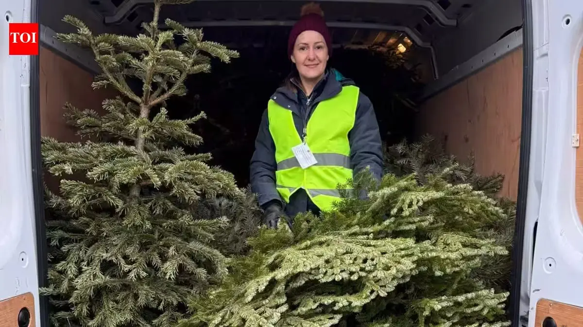 UK tree drive turns Christmas waste into record charity haul